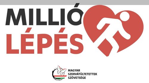 Millió lépés az iskoládért
